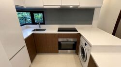 Eco Sanctuary (D23), Condominium #584530201